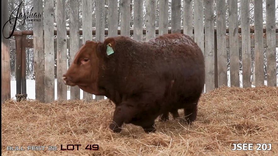 Lot 49: JSEE 20J